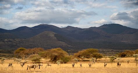 Chyulu Hills National Park Kenya