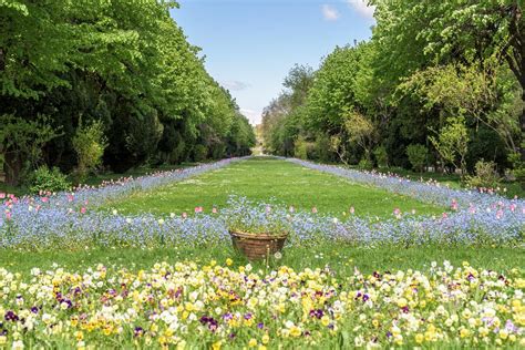 Cişmigiu Garden Bucharest