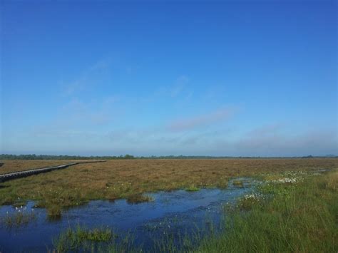 Clara Bog Nature Reserve The Midlands