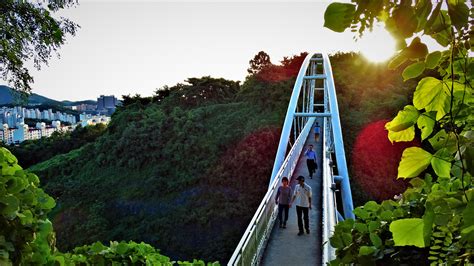 Cloud Step Bridge Shandong