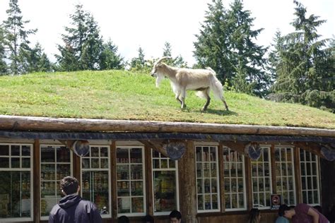 Coombs Old Country Market Vancouver Island