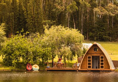 Cottle Hill Bay Of Islands