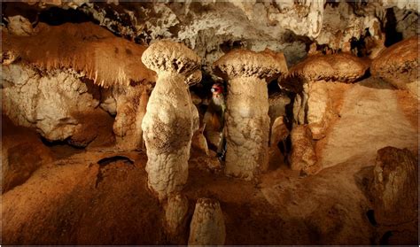 Cuevas de Santa Catalina Matanzas Province