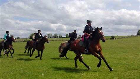 Dartfield Equestrian Centre County Galway