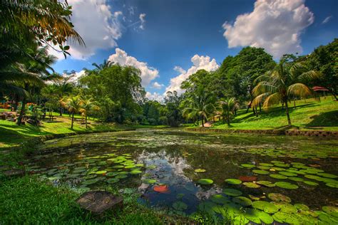 Deer Park Lake Gardens, Brickfields & Bangsar