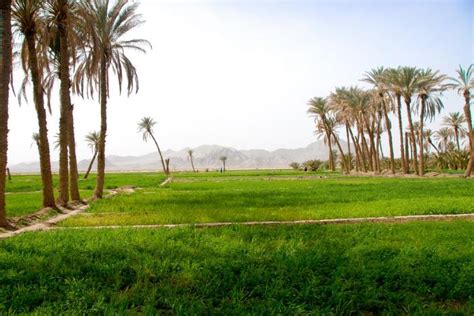 Deh Salm Southeastern Iran