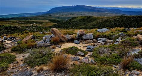 Denniston Plateau Buller Region