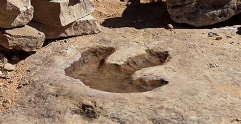 Dinosaur Footprints Damaraland