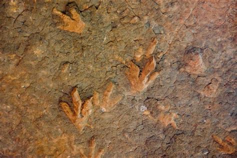Dinosaur Footprints Lesotho