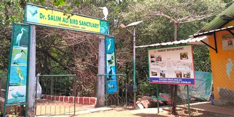 Dr Salim Ali Bird Sanctuary Panaji & Central Goa