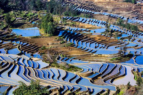 Duoyishu Rice Terrace Yunnan