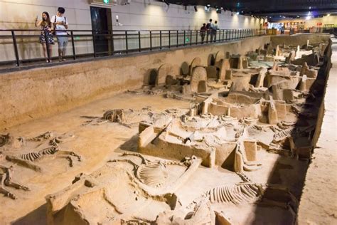 Eastern Zhou Royal Horse & Chariot Pits Henan