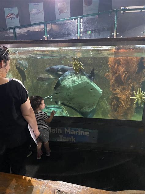 Eco World Aquarium Marlborough Region