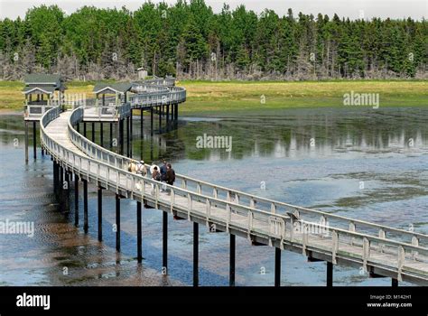 Ecological Park of the Acadian Peninsula New Brunswick