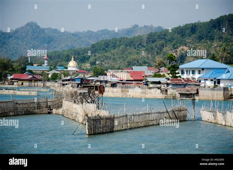 Eel Traps Central Sulawesi