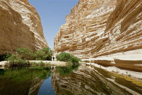 En Avdat National Park The Negev