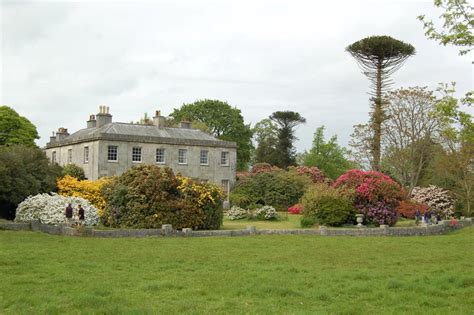 Enys Gardens South Cornwall