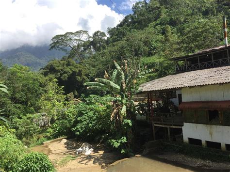 Finca La Victoria Minca