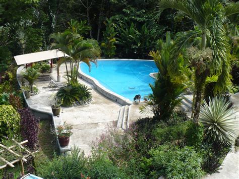 Finca Los Monos Botanical Garden Bocas Del Toro Town