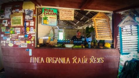 Finca Raúl Reyes Viñales