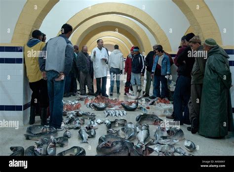 Fish Auction Essaouira