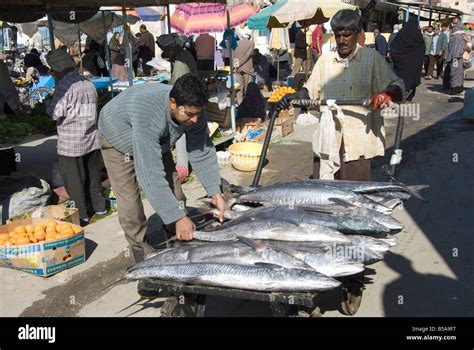 Fish Market Bandar Abbas