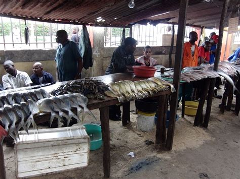 Fish Market Northern Mozambique