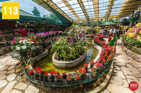 Flower Exhibition Centre Gangtok