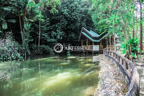 Forestry Museum Brunei Darussalam