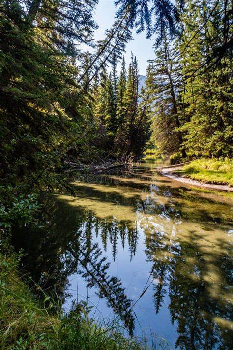 Forty Mile Creek Picnic Area Banff Town