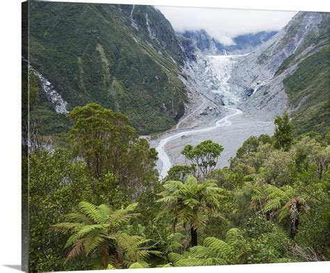 Fox Glacier Lookout Westland Tai Poutini National Park