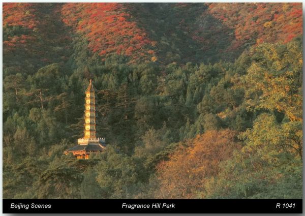 Fragrant Hills Park Beijing