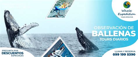 Fritz the Whale Puerto López