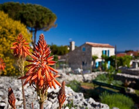 Garden of Fine Scents Mali Lošinj