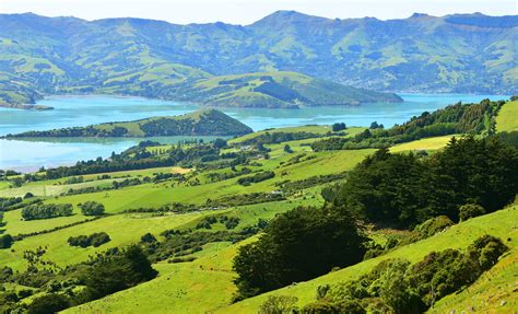 Giant’s House Banks Peninsula