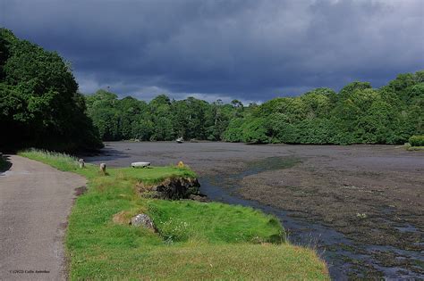 Gillan Creek The Lizard