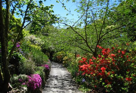 Glenfalloch Woodland Garden Otago Peninsula
