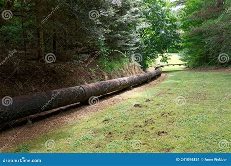 Golden Fleece Battery Buller Region