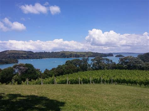 Goldie Estate Waiheke Island