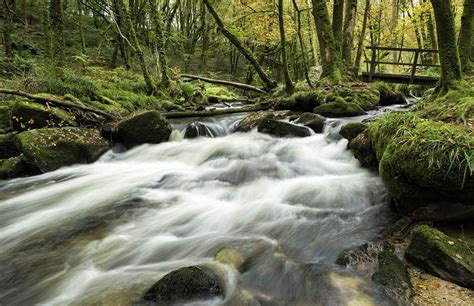 Golitha Falls East Cornwall