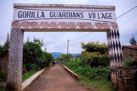 Gorilla Guardians Village Rwanda