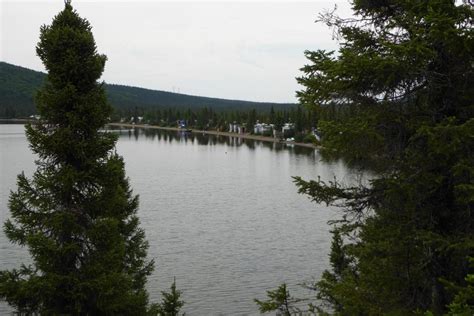 Grande Hermine Park Labrador