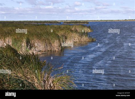 Grassy Narrows Marsh Manitoba