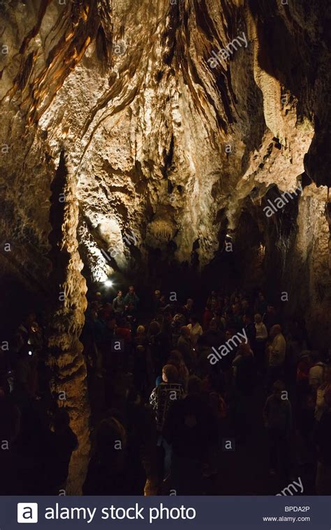 Grottes de Han Wallonia