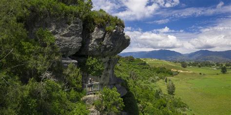 Grove Scenic Reserve Takaka