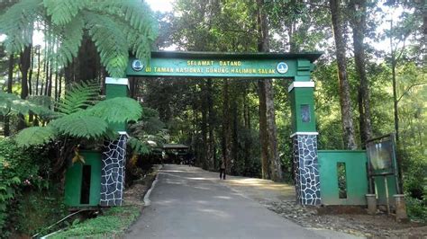 Gunung Halimun National Park West Java