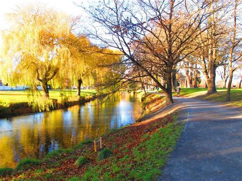 Hagley Park Christchurch