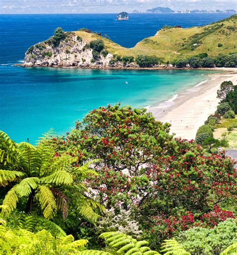 Hahei Beach Coromandel Peninsula