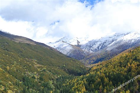 Haizi Valley Sichuan