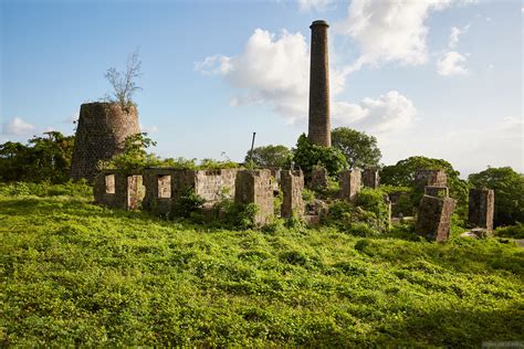 Hamilton Estate Ruins Nevis